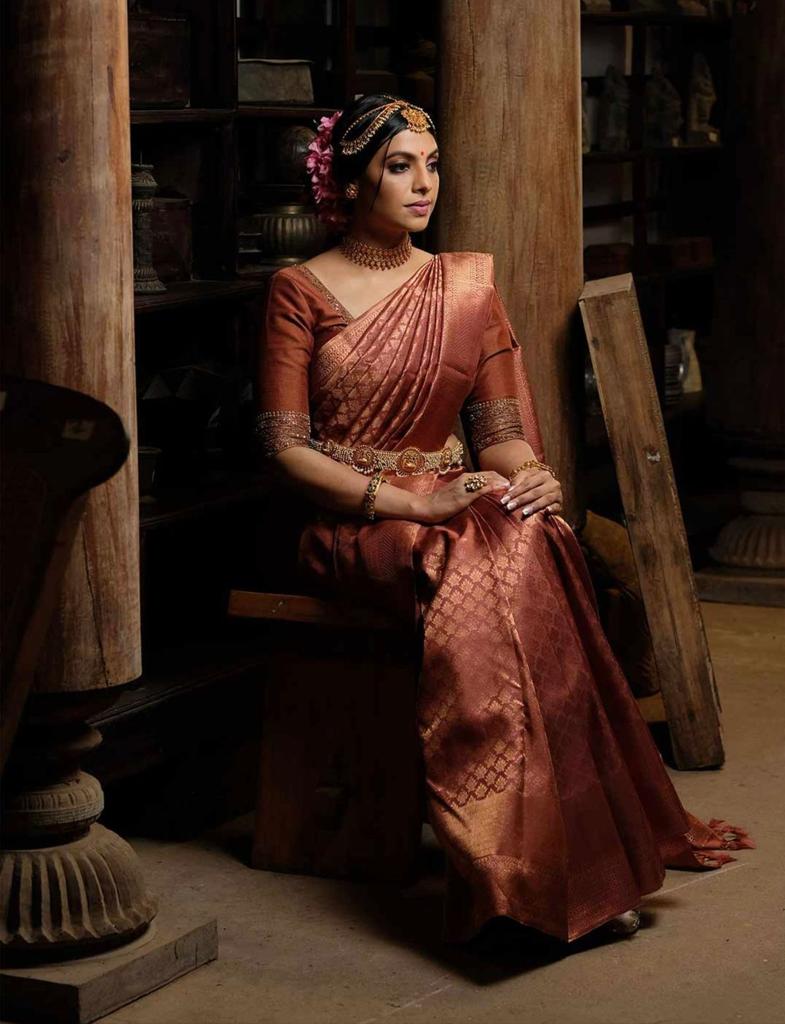 Ddf Maroon Pan Banarasi Silk Saree Catalog